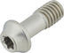 77designz Vis en Titane Ti Bolt - natural/M6x15