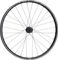 BEAST Components TR30 Disc 6-Bolt Boost Carbon 29" Wheelset - UD carbon-black/Shimano Micro Spline/Boost/148 mm/110 mm/Boost/29"/110 mm/Shimano Micro Spline/110 mm/148 mm