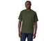 Patagonia P-6 Logo Responsibili-Tee T-Shirt - torrey pine green/M