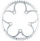 TA Zephyr Chainring, 5-arm, Outer, 110 mm BCD - silver/54 tooth