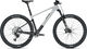 FOCUS Vélo Tout-Terrain en Carbone Raven 8.8 29" Modèle 2023 - light grey-carbon raw/120 /29"/L