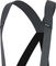 ASSOS Mille GT C2 Bib Shorts Trägerhose - black series/M