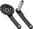 QUARQ DFour DUB Powermeter Carbon Crank - black/175,0 mm