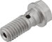 Hope Straight Hose Connector M6 - silver