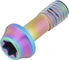 77designz Vis en Titane Ti Bolt - oilslick/M5x14