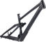 RAAW Mountain Bikes Kit de cuadro Jibb 29" - black mate/135 /L/12 mm Eje Pasante