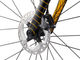 OPEN NEW U.P. Limited Edition Continental Anniversary Gravel Bike - continental limited edition/28"/M