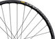 SON Delux 12 + Open Pro UST Disc + Sapim Race 28" Laufrad - schwarz / schwarz/100 mm/28"/100 mm/100 mm/nur Vorderrad/nur Vorderrad/nur Hinterrad