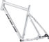 Nicolai Argon GX Frame - factory raw/M/12 mm Thru Axle