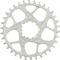 Hope Plato R22 Spiderless SRAM Direct Mount - silver/34 