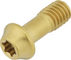 77designz Vis en Titane Ti Bolt - gold/M6x15