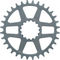 e*thirteen Helix R Guidering Direct Mount Chainring - grey/32 